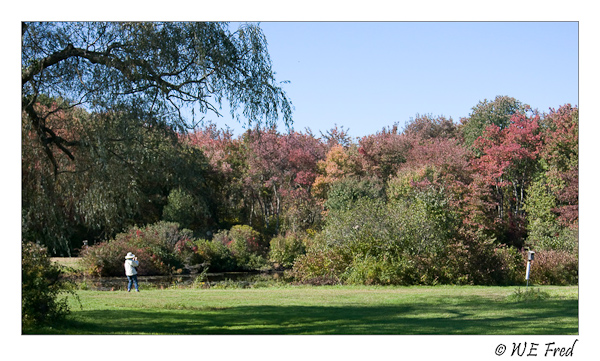 Bauer Park, Madison Connecticut