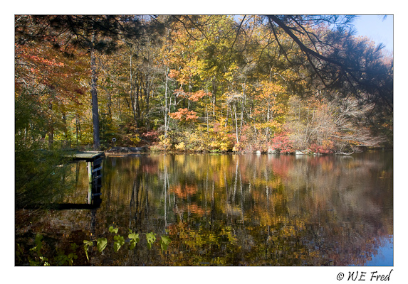 Gould's Pond, Guilford Connecticut